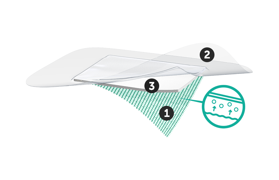 Illustration of the three layers of Sorbact Secure dressing. Number 1 at the bottom green layer, number 2 at the top transparent layer, number 3 at the middle layer.